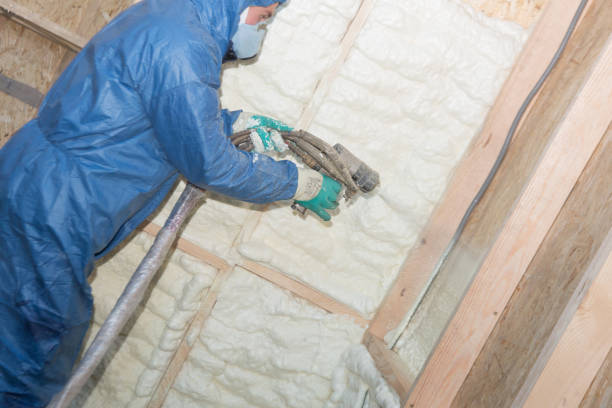 Best Basement Insulation  in Silver Lake, OH