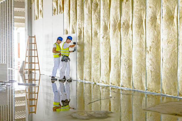 Best Attic Insulation Installation  in Silver Lake, OH